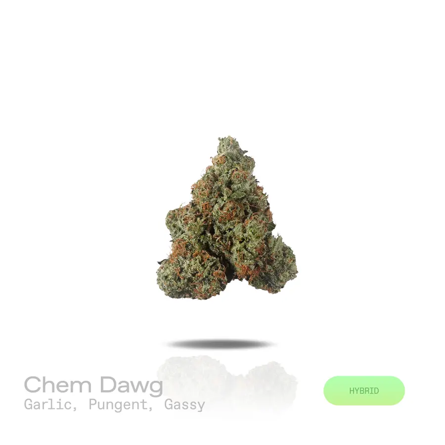 Chem Dawg THCa Flower (Premium Indoor) (Hybrid)