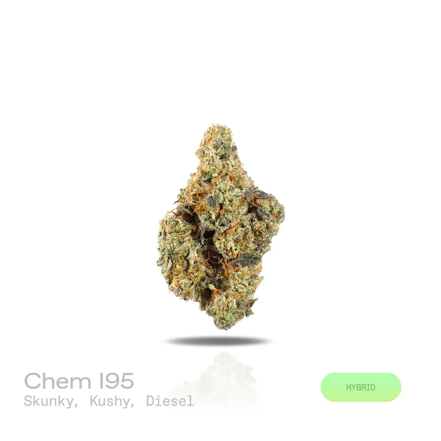 Chem I95 THCa Flower (Premium Indoor) (Hybrid)