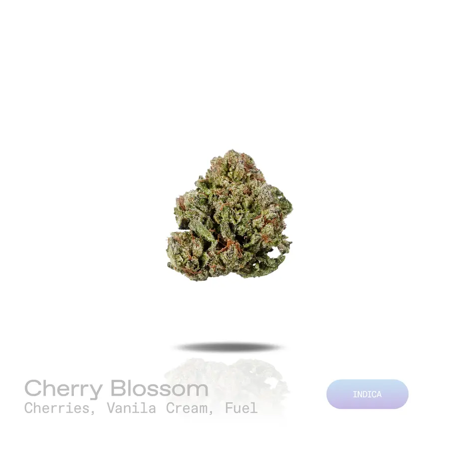 Cherry Blossom THCa Flower (Indoor) (Indica)