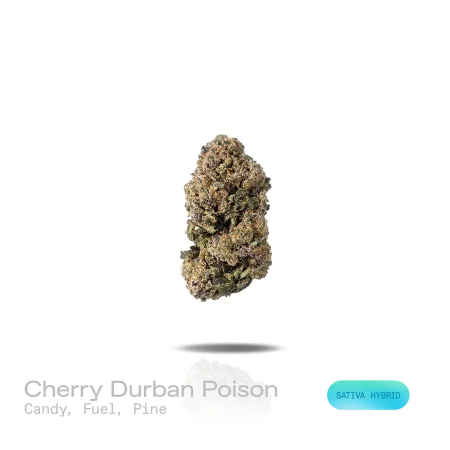 Cherry Durban Poison THCa Flower (Exotic) (Sativa Hybrid)