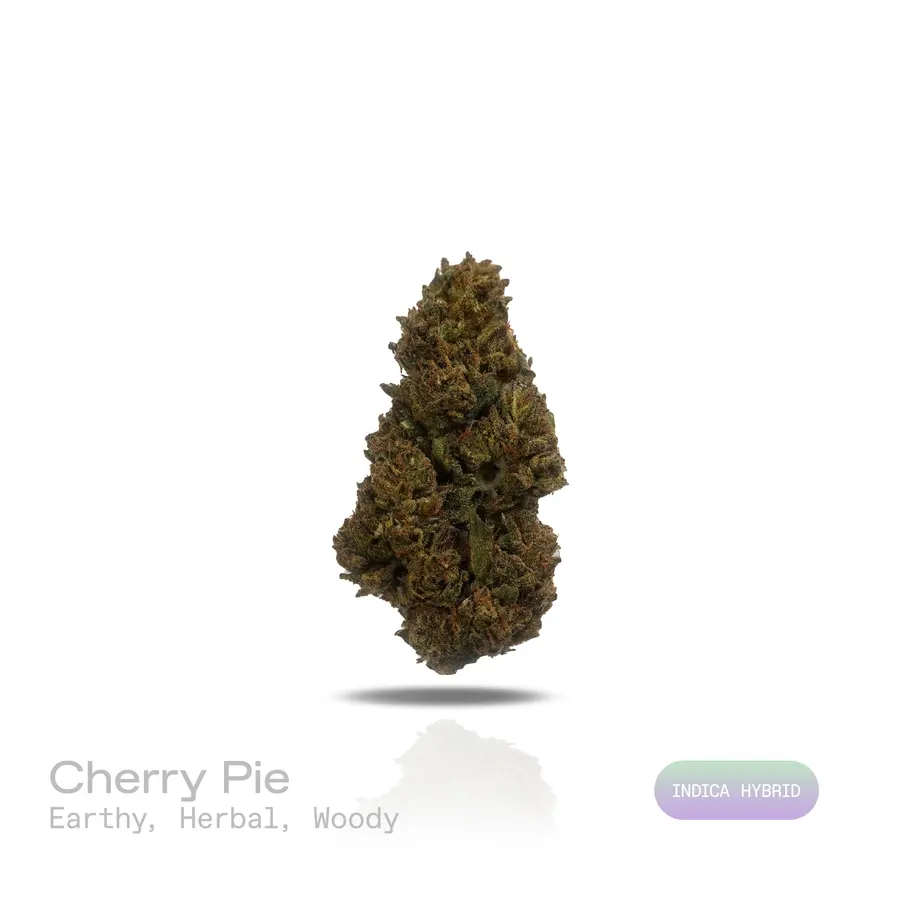 Cherry Pie THCa Flower (Indoor) (Indica Hybrid)