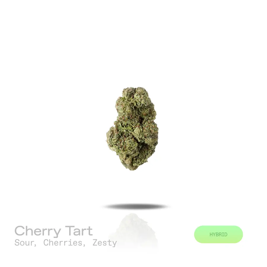 Cherry Tart THCa Flower (Indoor) (Hybrid)