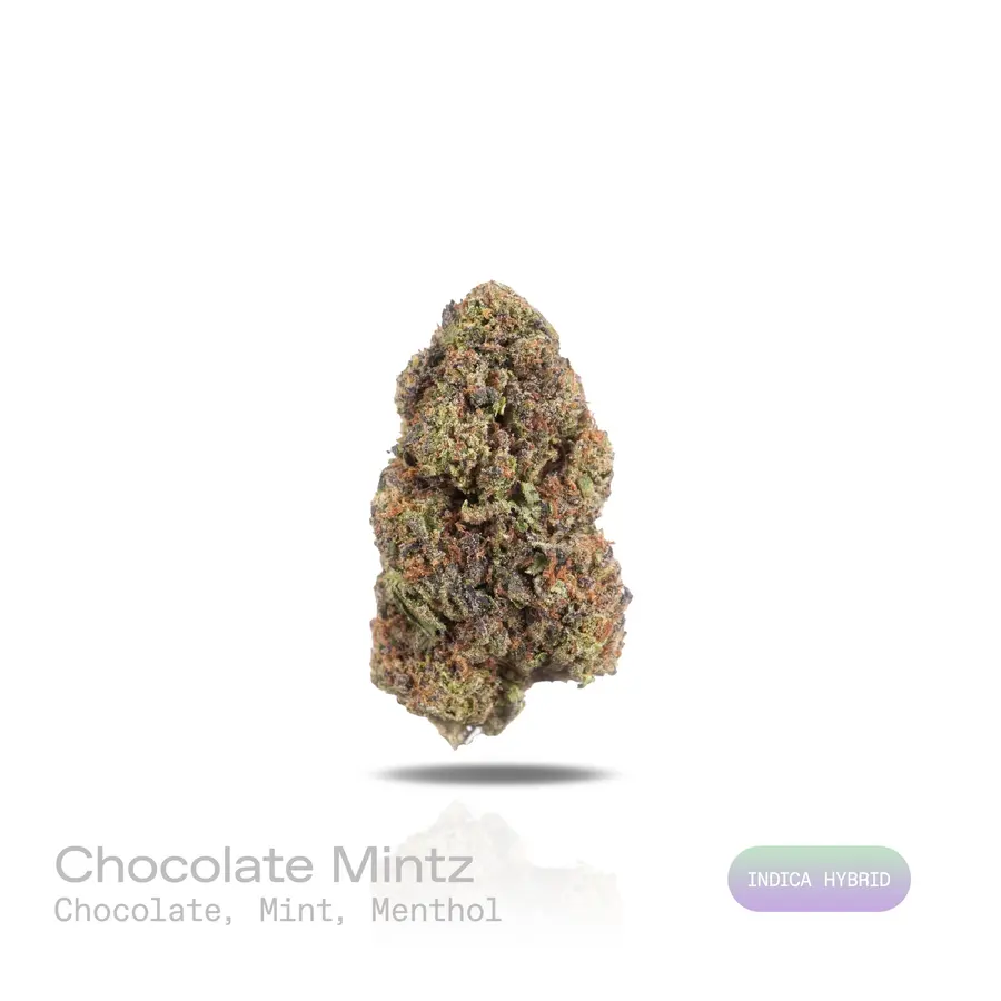 Chocolate Mintz THCa Flower (Indoor) (Indica Hybrid)