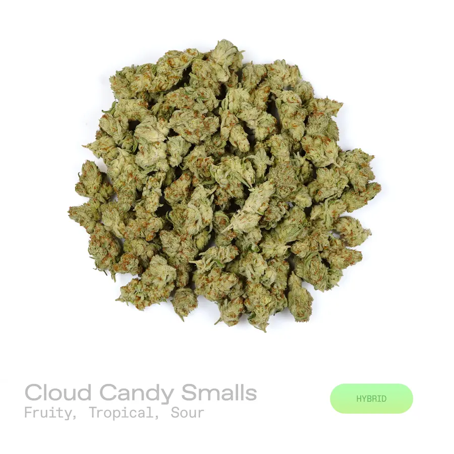 Cloud Candy THCa Flower (Exotic) (Hybrid)
