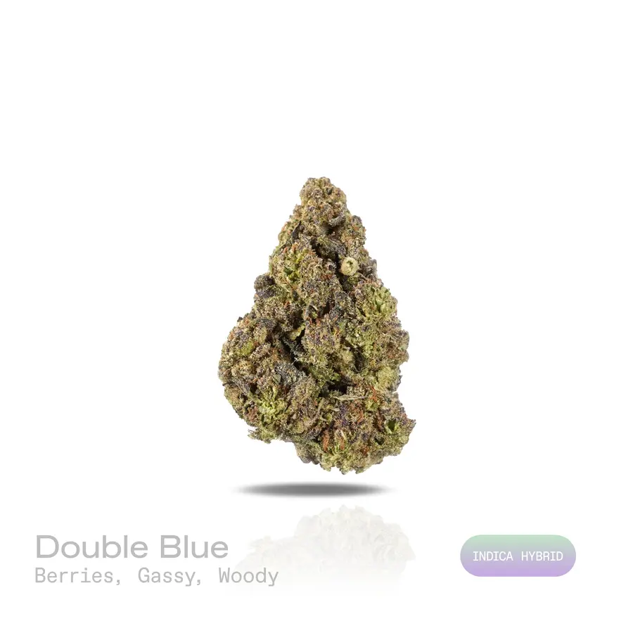 Double Blue THCa Flower (Indoor) (Indica Hybrid)