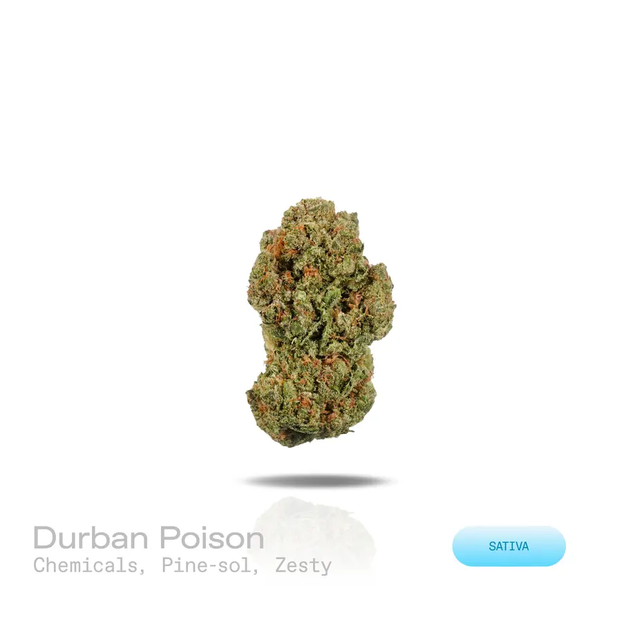 Durban Poison THCa Flower (Indoor) (Sativa)