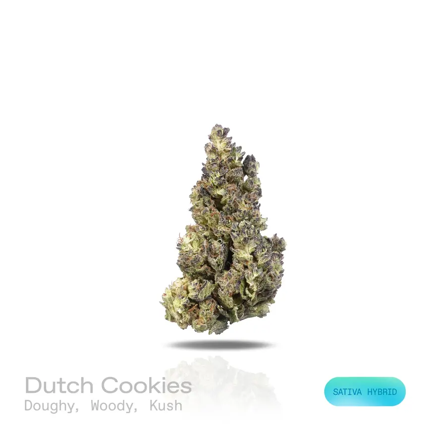 Dutch Cookies THCa Flower (Indoor) (Sativa Hybrid)