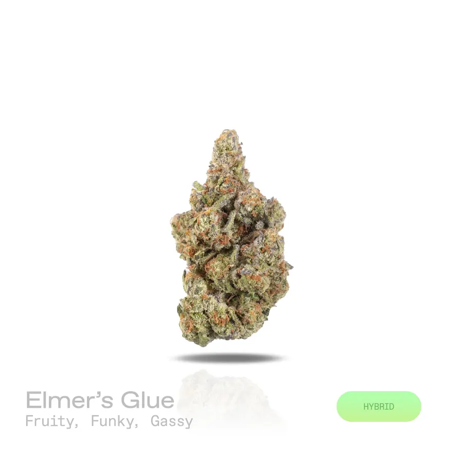 Elmer’s Glue THCa Flower (Exotic) (Hybrid)