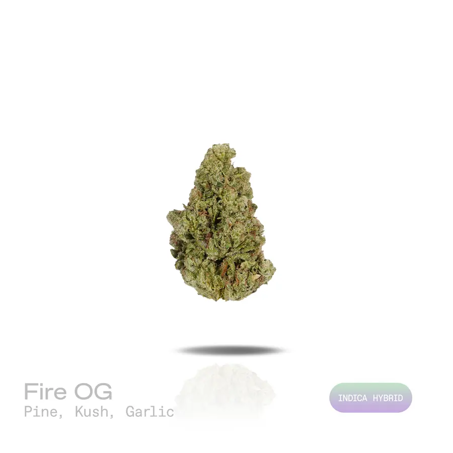 Fire OG THCa Flower (Indoor) (Indica Hybrid)