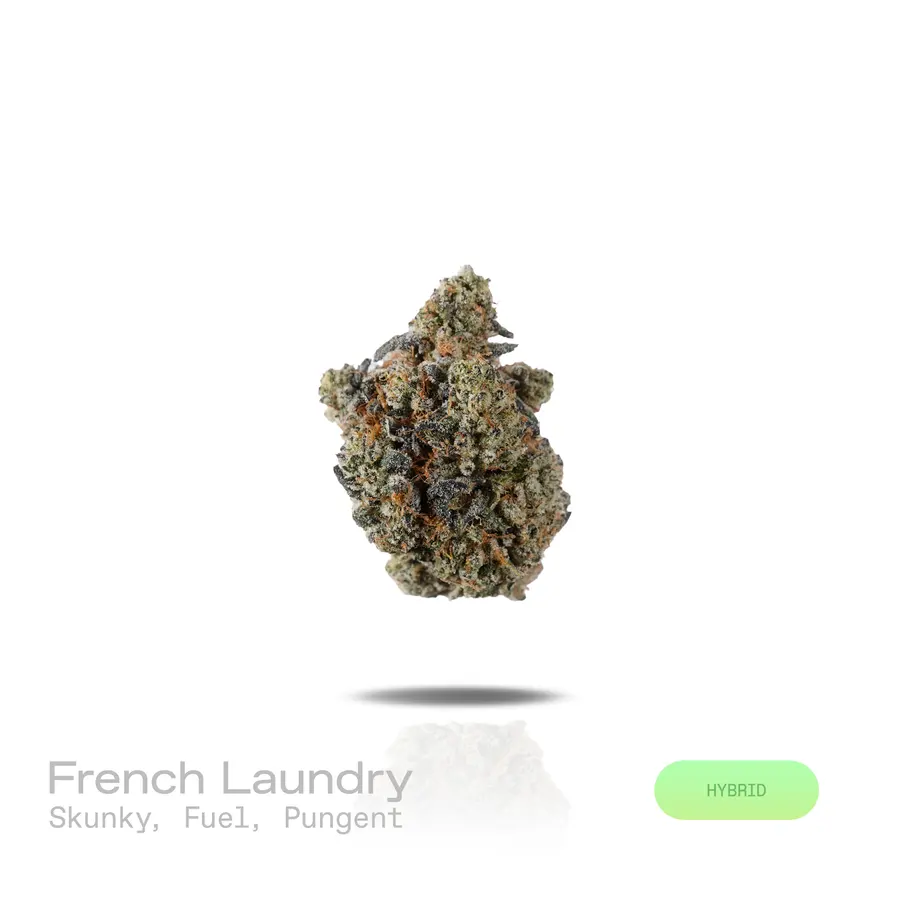 French Laundry THCa Flower (Exotic) (Hybrid)