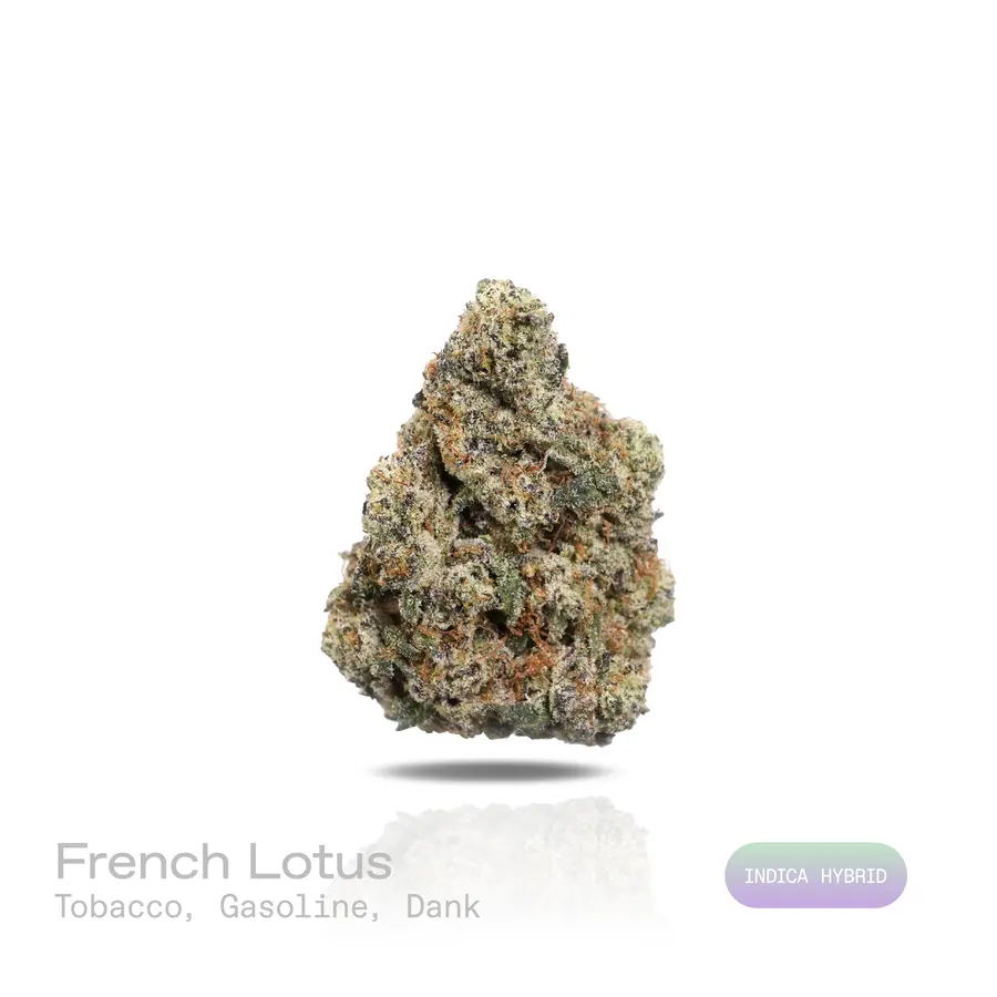 French Lotus THCa Flower (Exotic) (Indica Hybrid)