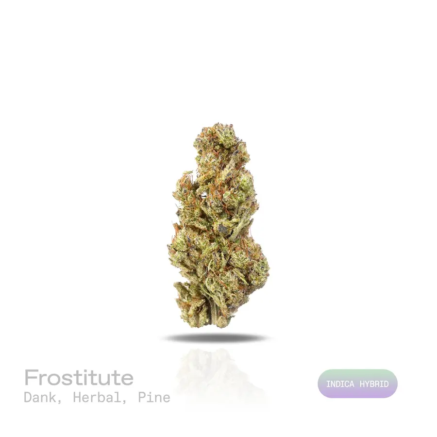 Frostitute THCa Flower (Indoor) (Indica Hybrid)