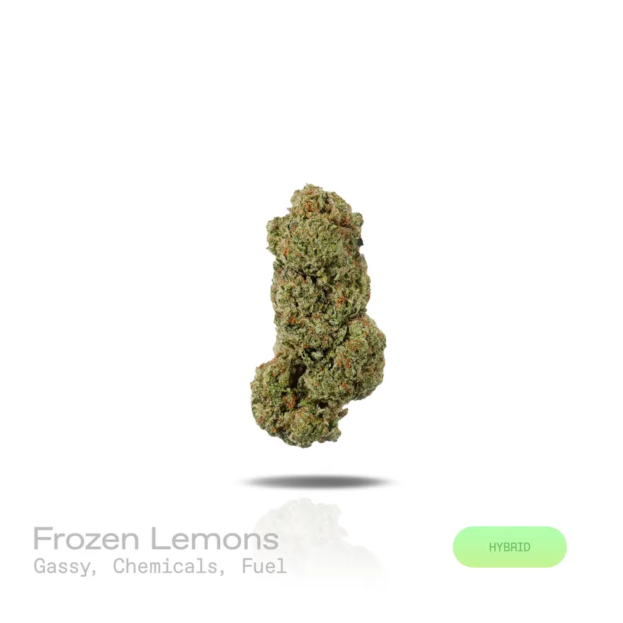 Frozen Lemons THCa Flower (Indoor) (Hybrid)