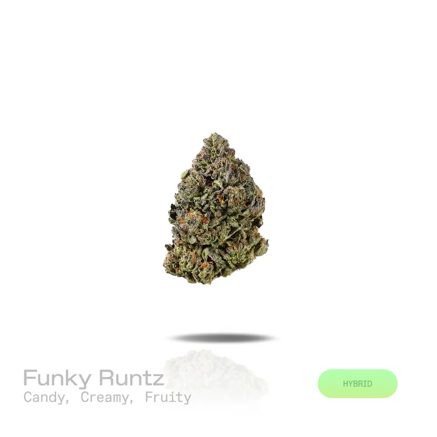 Funky Runtz THCa Flower (Indoor) (Hybrid)