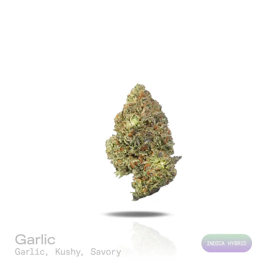 Garlic THCa Flower (Indoor) (Indica Hybrid)