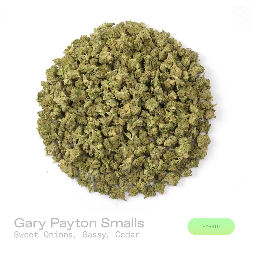 Gary Payton THCa Flower (Indoor) (Hybrid)