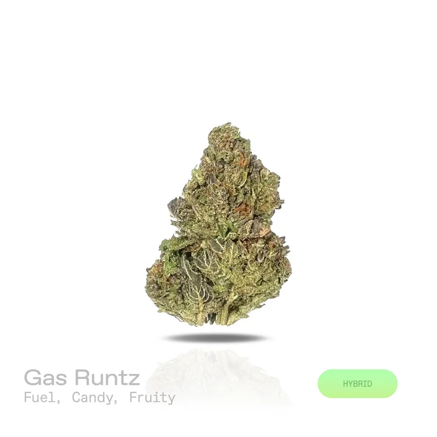 Gas Runtz THCa Flower (Indoor) (Hybrid)