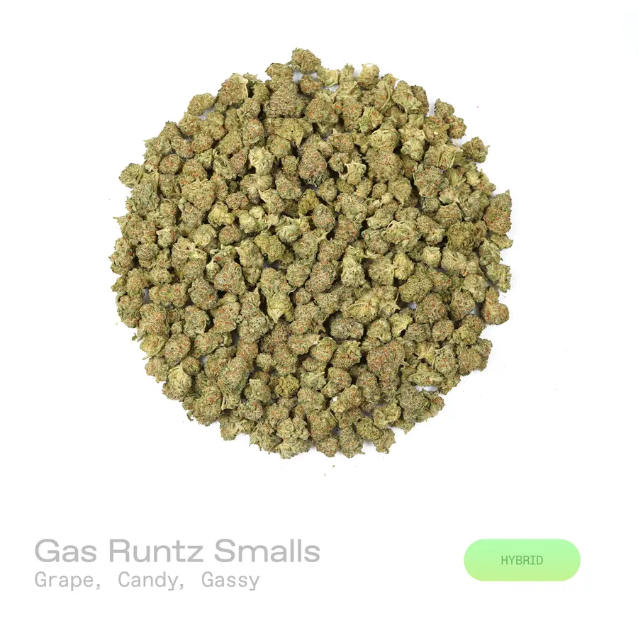 Gas Runtz THCa Flower (Indoor) (Hybrid)