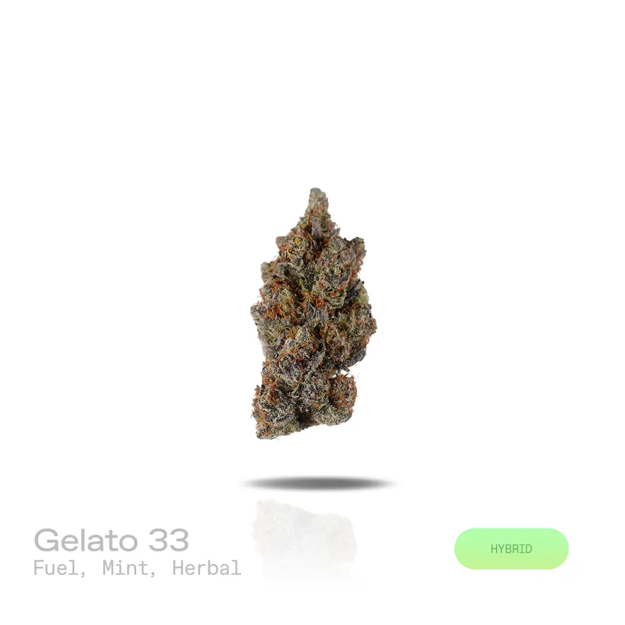 Gelato 33 THCa Flower (Premium Indoor) (Hybrid)