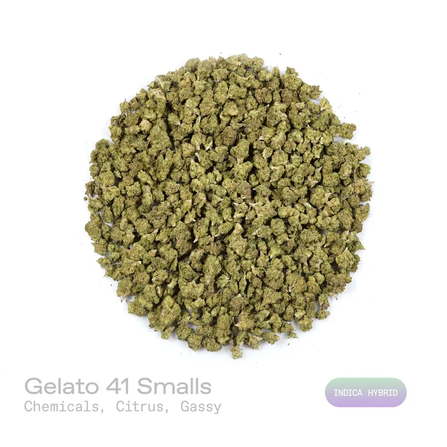 Gelato 41 THCa Flower (Indoor) (Indica Hybrid)