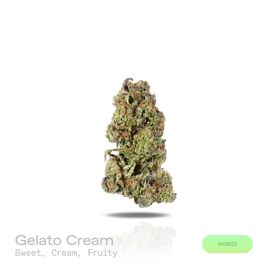 Gelato Cream THCa Flower (Indoor) (Hybrid)
