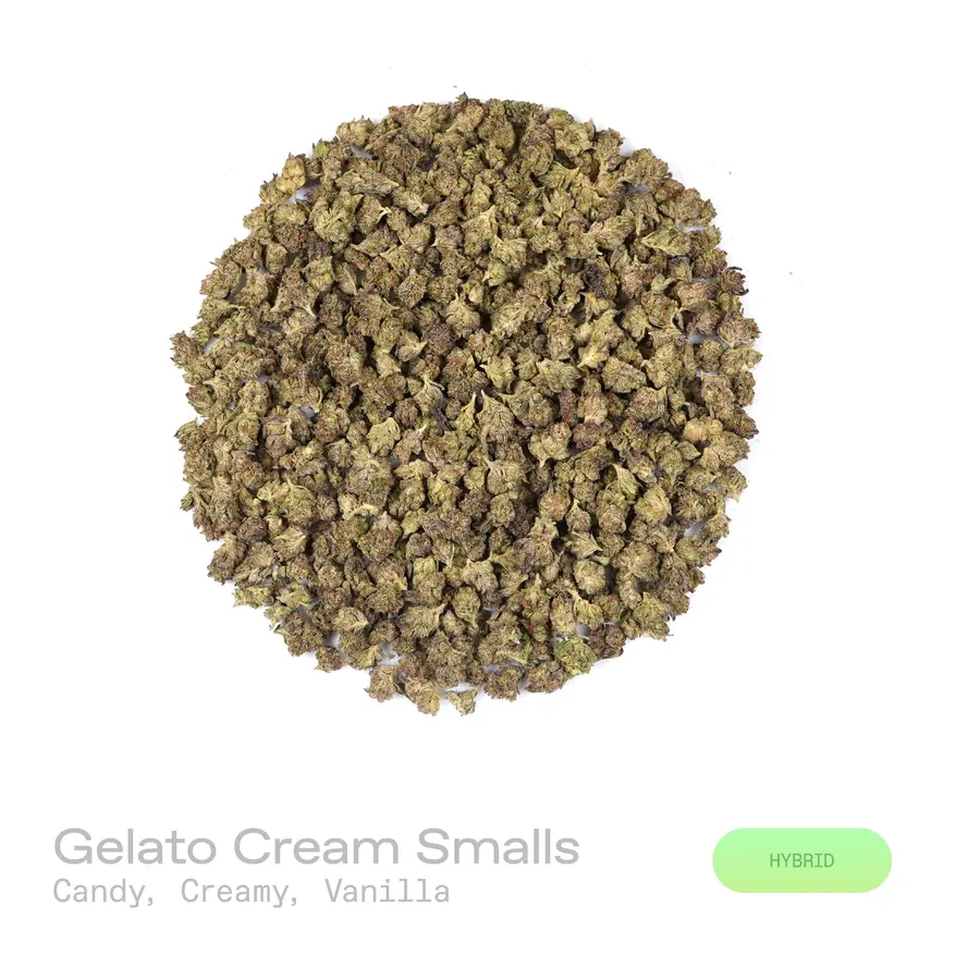 Gelato Cream THCa Flower (Indoor) (Hybrid)