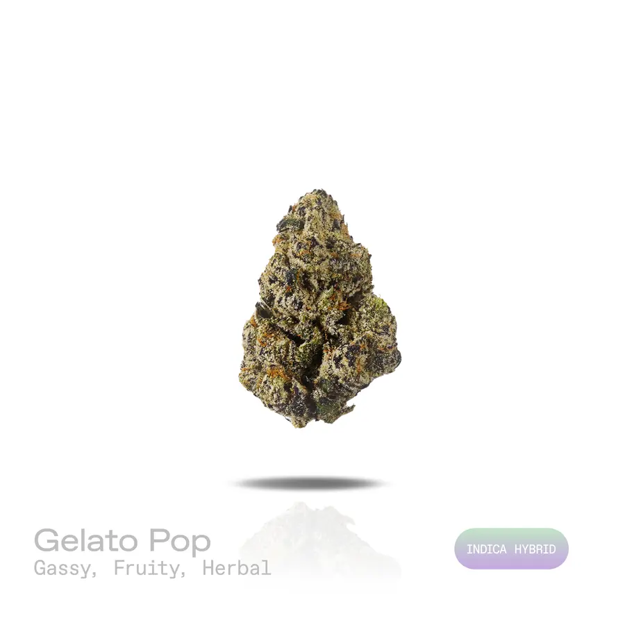Gelato Pop THCa Flower (Exotic) (Indica Hybrid)