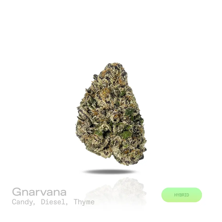 Gnarvana THCa Flower (Exotic) (Hybrid)