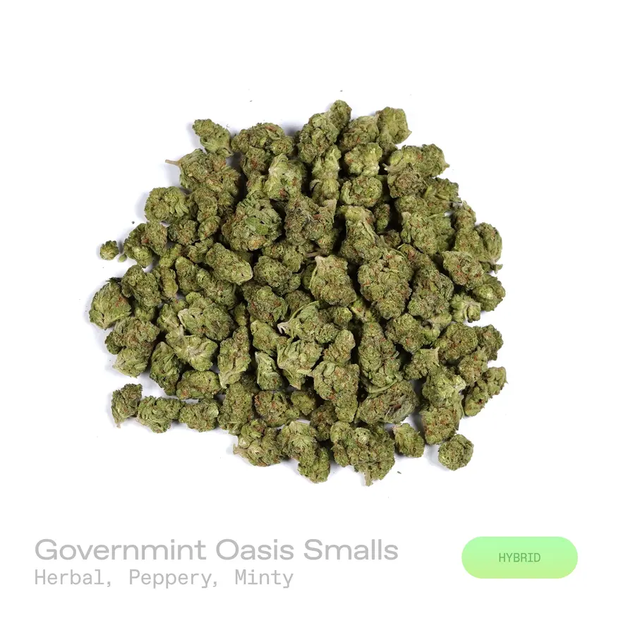 Governmint Oasis THCa Flower (Indoor) (Hybrid)