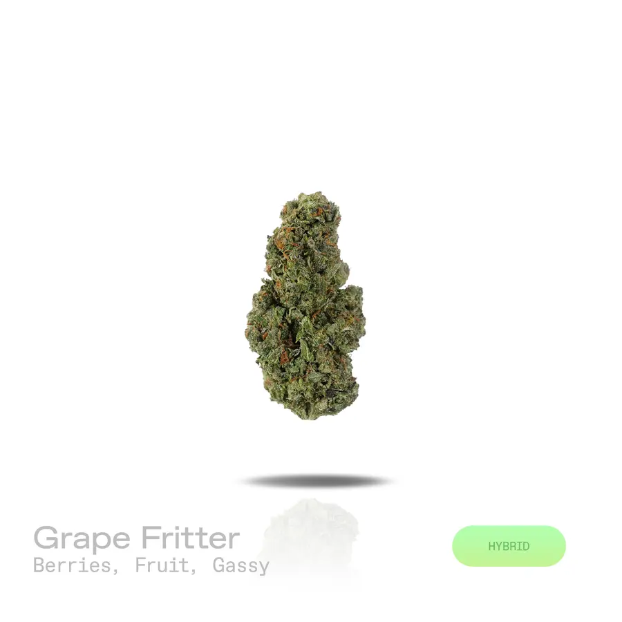 Grape Fritter THCa Flower (Indoor) (Hybrid)