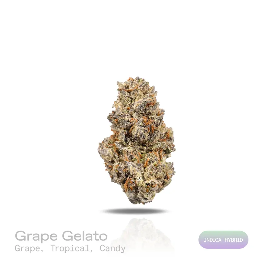 Grape Gelato THCa Flower (Exotic) (Indica Hybrid)