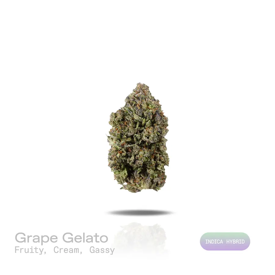Grape Gelato THCa Flower (Indoor) (Indica Hybrid)