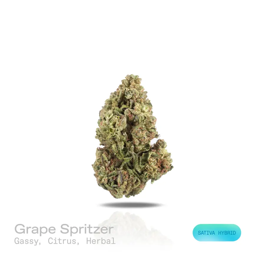Grape Spritzer THCa Flower (Indoor) (Sativa Hybrid)