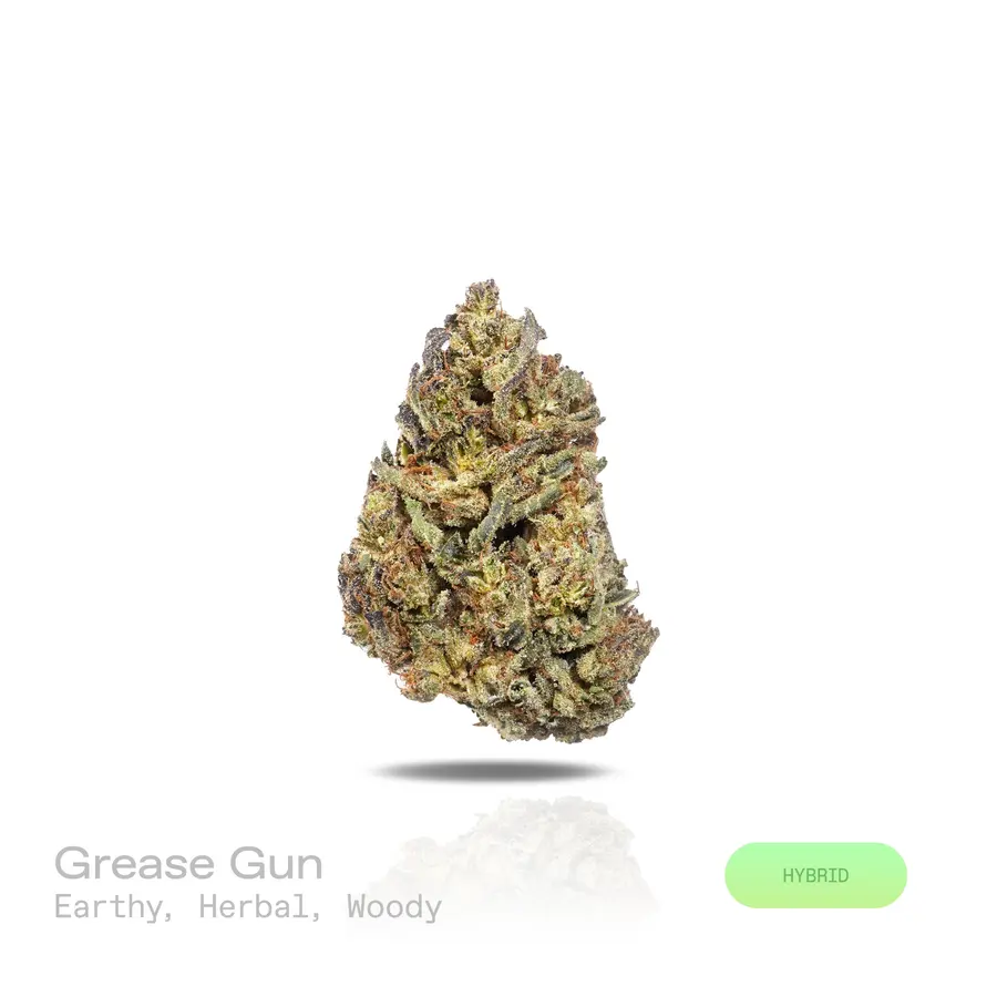 Grease Gun THCa Flower (Indoor) (Hybrid)