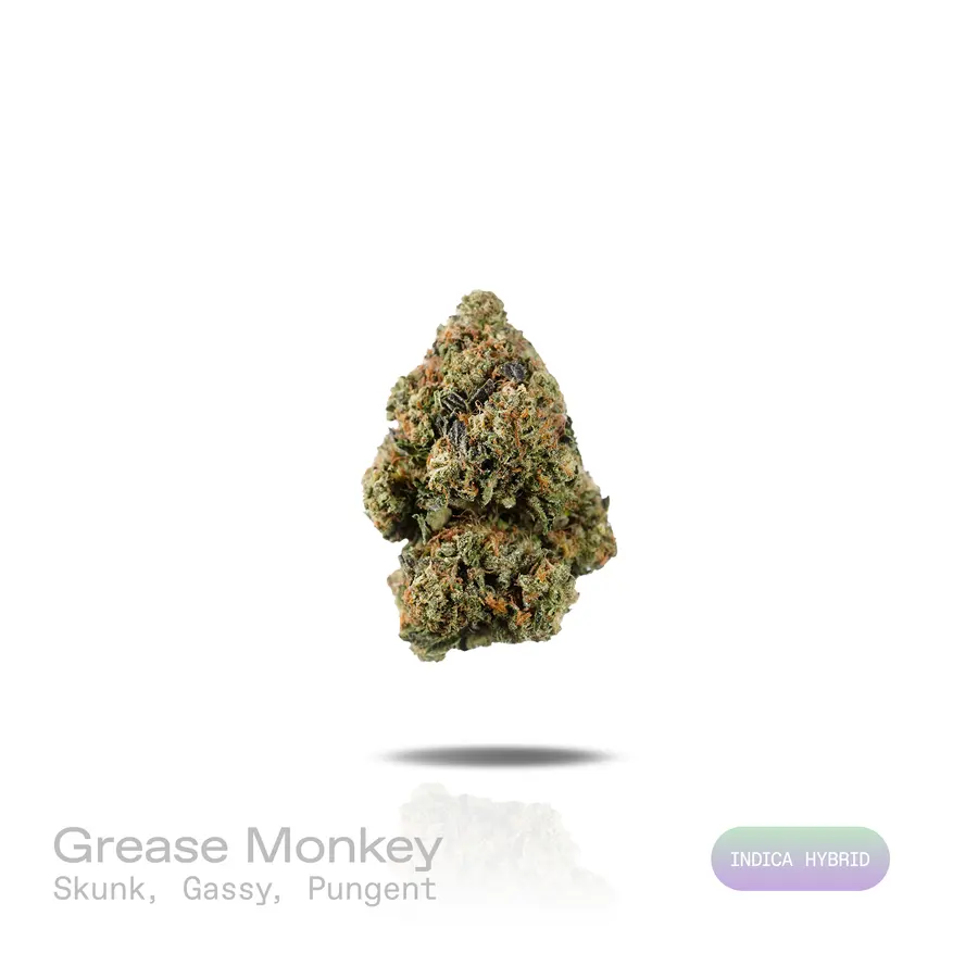 Grease Monkey THCa Flower (Indoor) (Indica Hybrid)