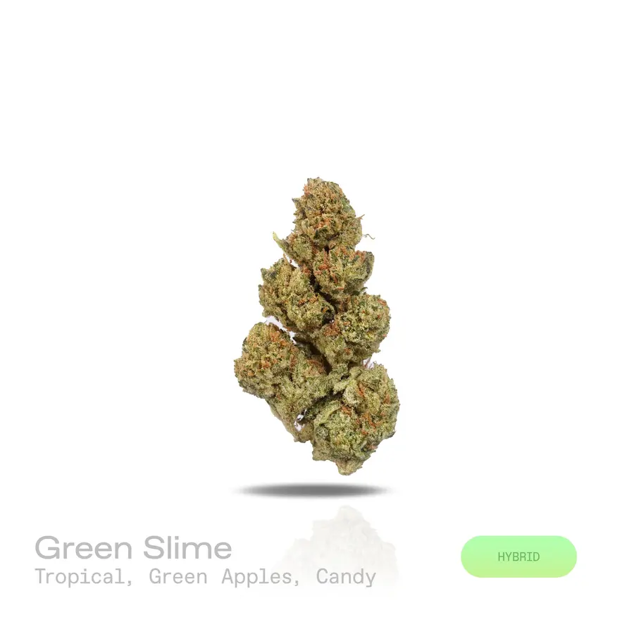 Green Slime THCa Flower (Indoor) (Hybrid)