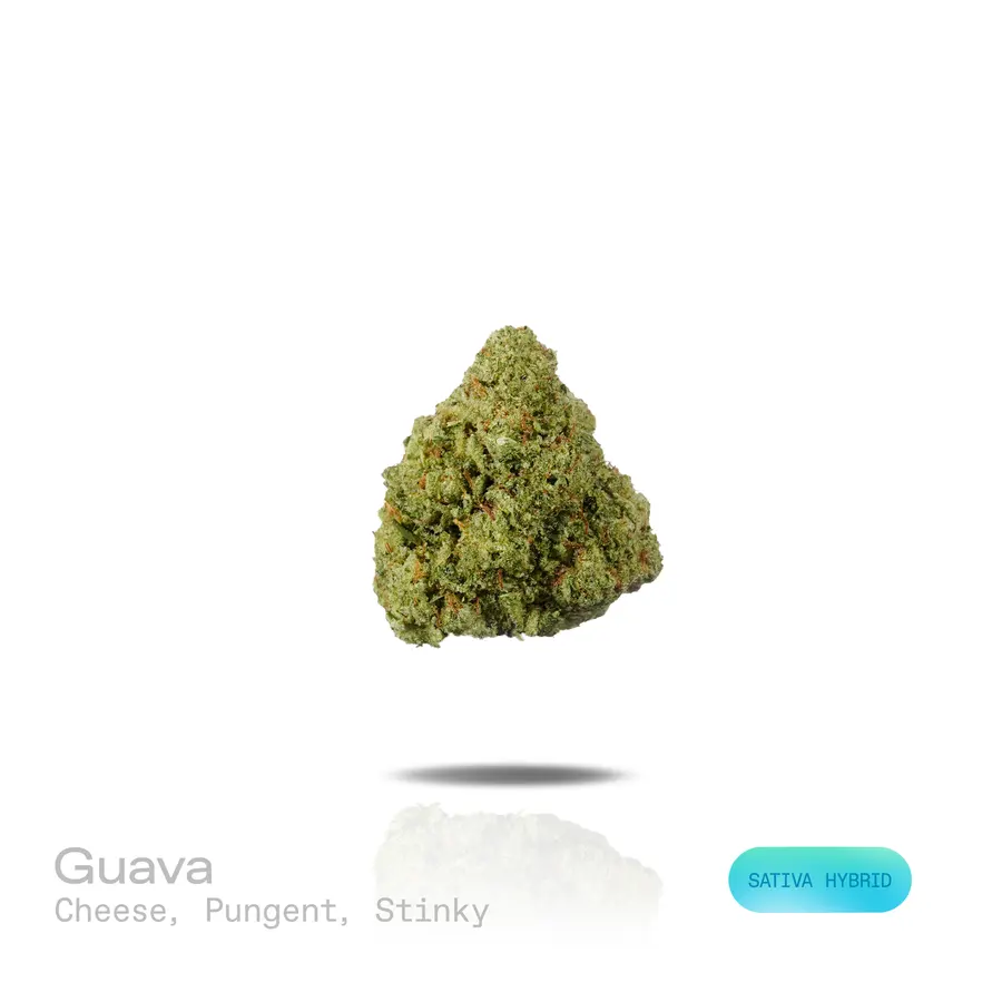 Guava THCa Flower (Indoor) (Sativa Hybrid)