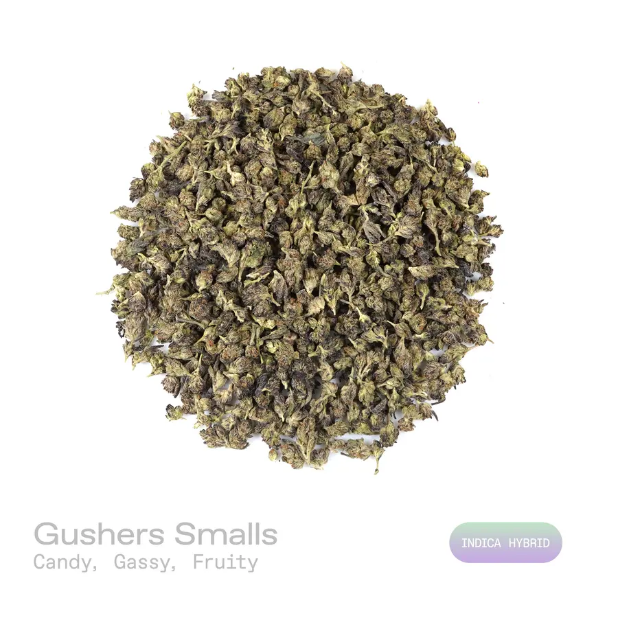 Gushers THCa Flower (Indoor) (Indica Hybrid)