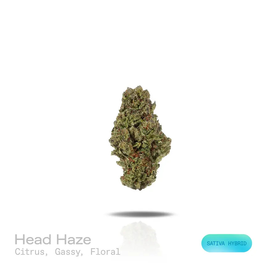 Head Haze THCa Flower (Indoor) (Sativa Hybrid)