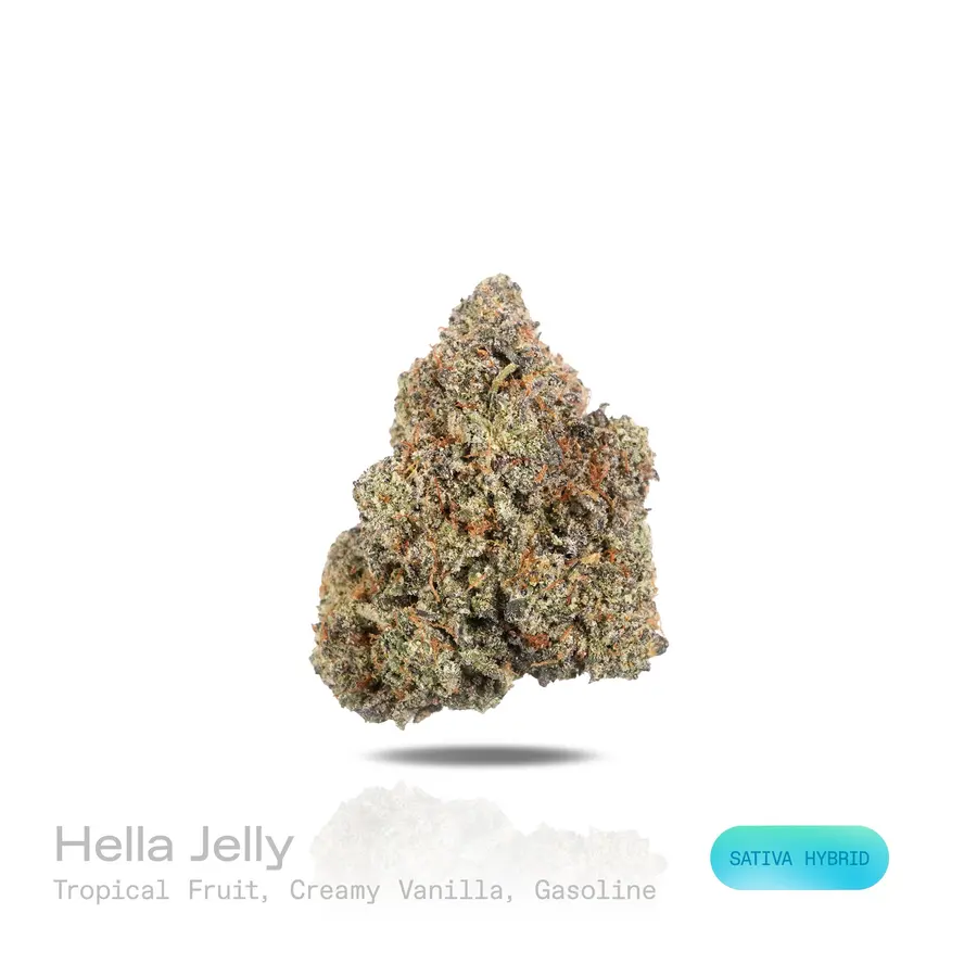 Hella Jelly THCa Flower (Exotic) (Sativa Hybrid)