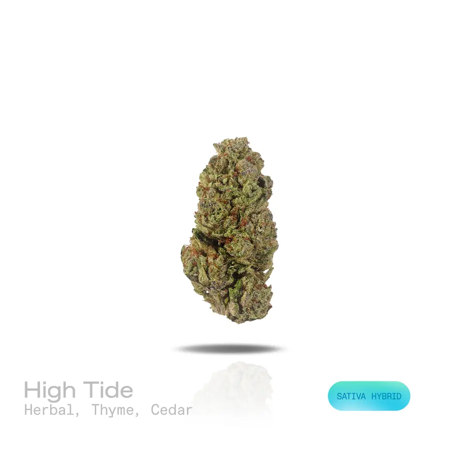High Tide THCa Flower (Indoor) (Sativa Hybrid)