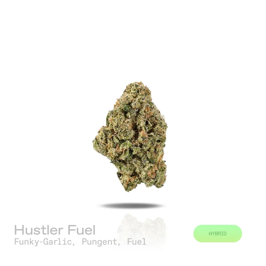 Hustler Fuel THCa Flower (Premium Indoor) (Hybrid)