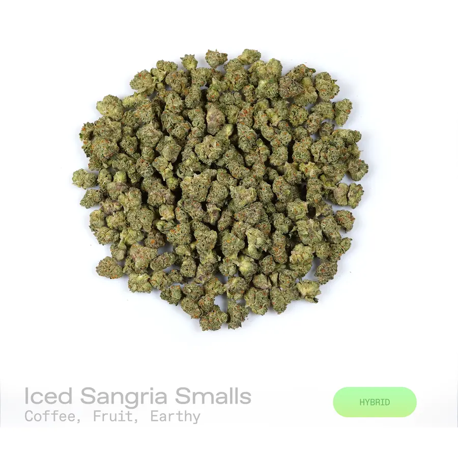 Iced Sangria THCa Flower (Indoor) (Hybrid)