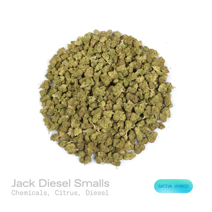 Jack Diesel THCa Flower (Indoor) (Sativa Hybrid)