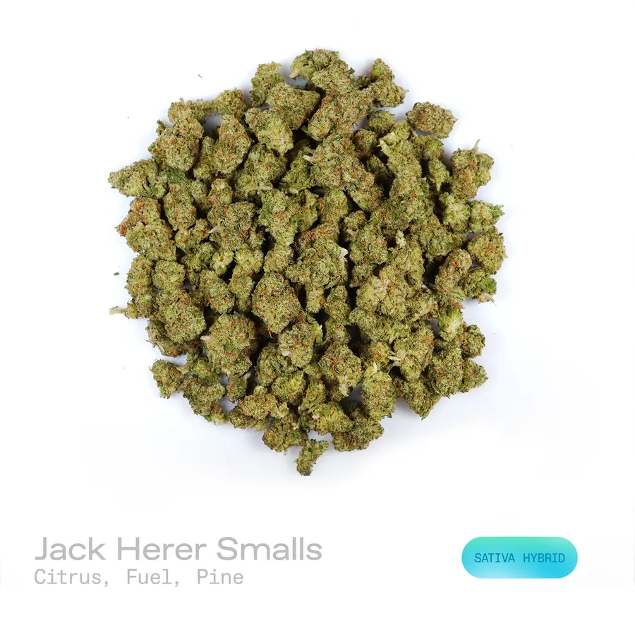 Jack Herer THCa Flower (Exotic) (Sativa Hybrid)