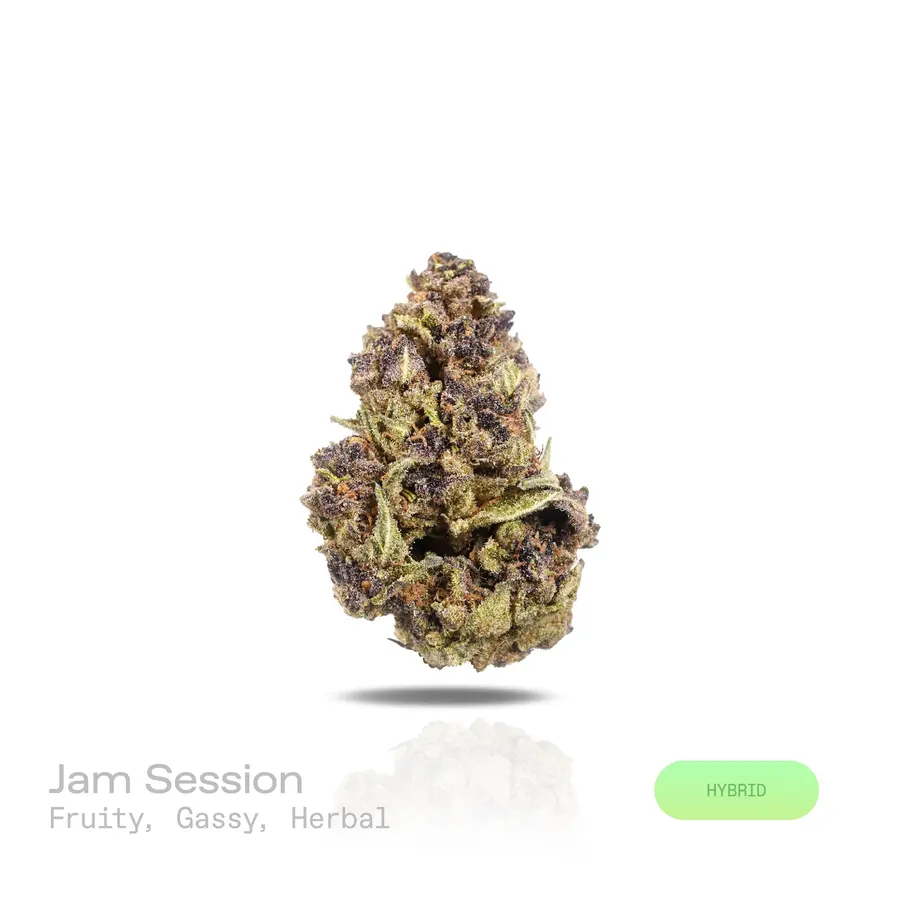 Jam Session THCa Flower (Indoor) (Hybrid)