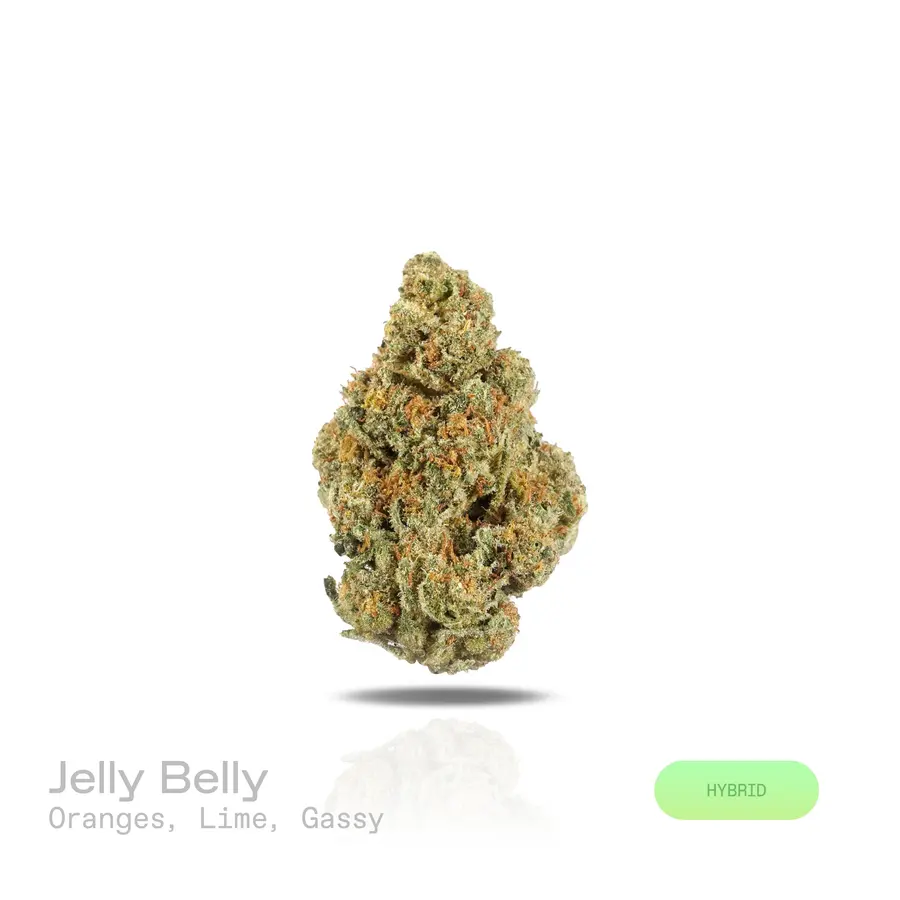 Jelly Belly THCa Flower (Indoor) (Hybrid)