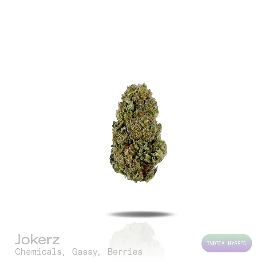 Jokerz THCa Flower (Indoor) (Indica Hybrid)