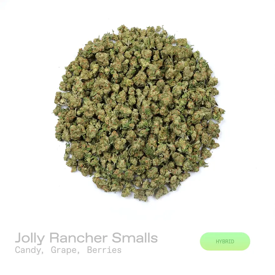 Jolly Rancher THCa Flower (Indoor) (Hybrid)