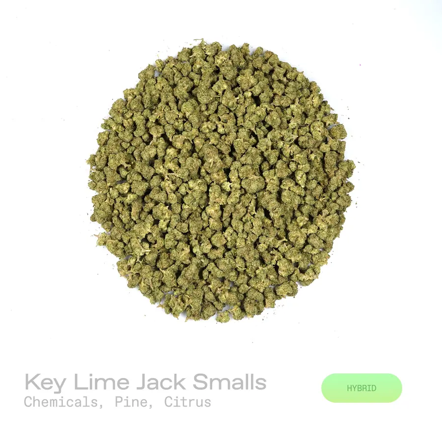 Key Lime Jack THCa Flower (Indoor) (Hybrid)